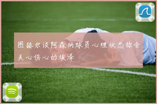 图赫尔谈阿森纳球员心理状态称会关心伤心的埃泽